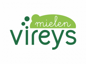 Mielenvireys ry
